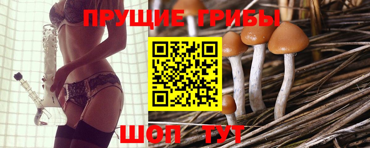 Зеленодольск  Галлюциногенные грибы мухоморы  Вход с VPN 